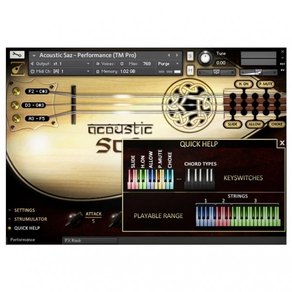 SoundIron Acoustic Saz