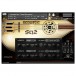 SoundIron Acoustic Saz
