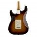 Fender Deluxe Back Close