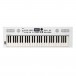 Roland GO:KEYS 5 Music Creation Keyboard, White