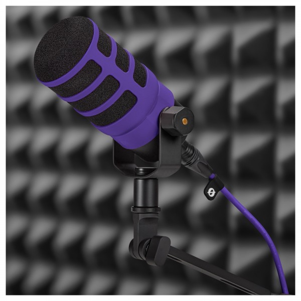 WS14 Pop Shiled, Purple - Lifestyle