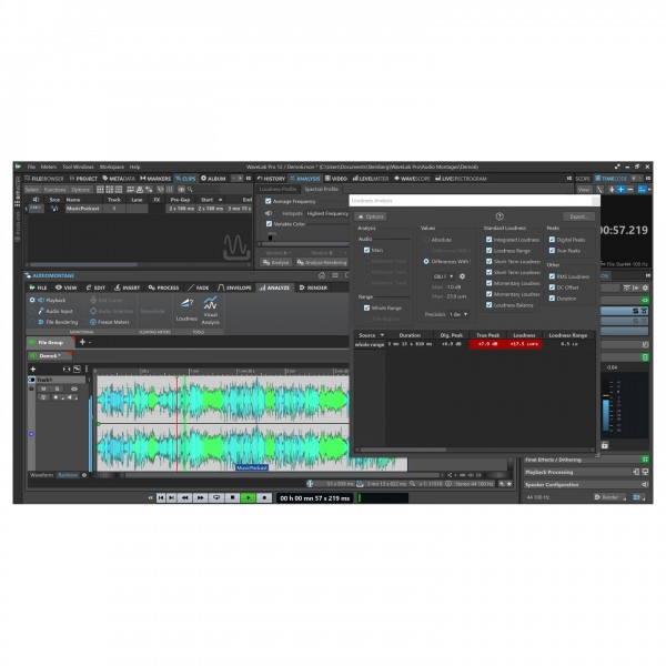 WaveLab Pro 12 - Boxed Copy - Loudness Analysis