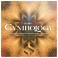 SoundIron Cymbologia