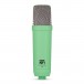 NT1 Signature Condenser Studio Microphone, Green - Rear