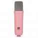 NT1 Signature Series Studio Microphone, Pink - Rear