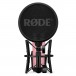 Rode NT1 Signature Series, Pink - Front with mount