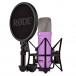 Rode NT1 Signature Series Condenser Microphone, Purple - Angled