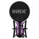 Rode NT1 Condenser Microphone, Purple - Front with mount