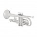 Yamaha YCR4330GSII Intermediate Cornet, Silver