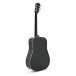 Fender FA-125 Dreadnought WN, Black back