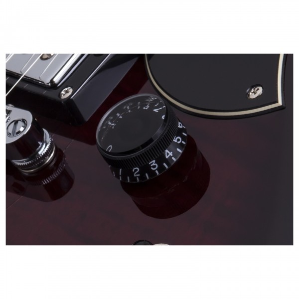 Schecter S-II Custom, controls