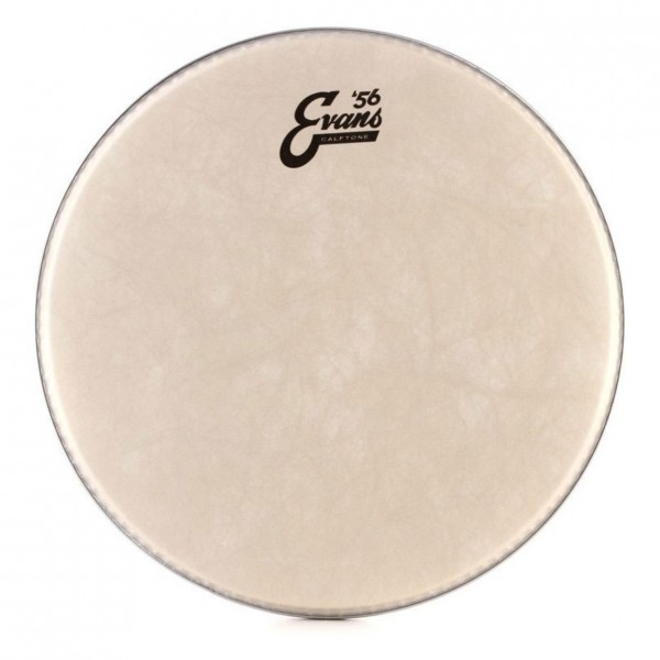 Evans 56 Calftone 14'' Drum head