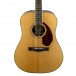 Fender PM-1 Deluxe Front Close