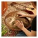 10 Notes D Key Handpan with Stand Bundle by Gear4music