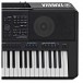 Yamaha PSR SX900 Digital Arranger