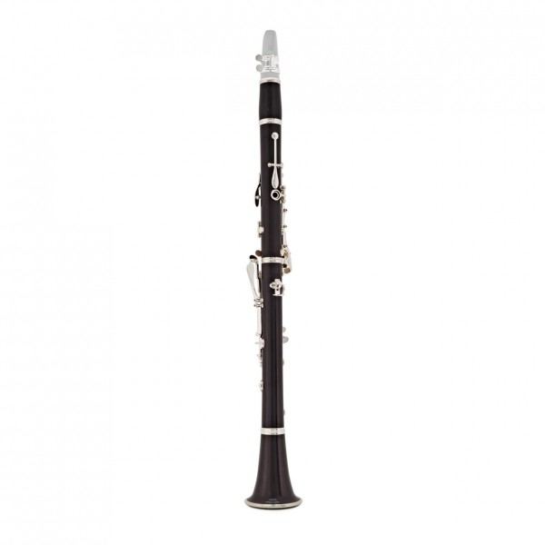 Buffet R13 Professional Bb Clarinet Outfit