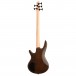 Ibanez GIO GSR205B 5-String Bass Guitar, Walnut