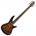 Ibanez SR405EQM Bass Guitar, Dragon Eye Burst