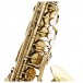 Trevor James Signature Custom Alto Saxophone, RAW XS