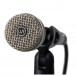 WA-19 Studio Microphone, Black - Mounted (Stand Not Included)