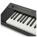 Yamaha Piaggero NP12 Portable Digital Piano, Black close