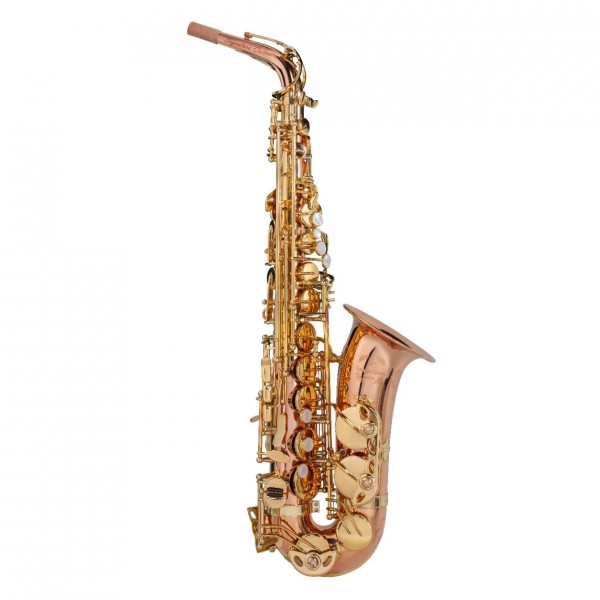 Trevor James Signature Custom Alto Saxophone, Phosphor Bronze