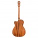 Fender PM-3 Guitar Back
