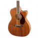 Fender PM-3 Body
