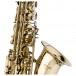 Stagg AS215S Alto Saxophone, Bell