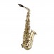 Stagg AS215S Alto Saxophone
