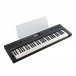 Roland GO:KEYS 5 Keyboard, Graphite with Music Rest