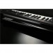 Korg RK-100S Keytar 37 Note Performance Keyboard, Black