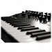 Korg Minilogue PG Limited Edition - Close Up 2