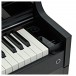 Casio AP-S450 Digital Piano, Black - Power