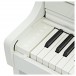 Casio AP-550 Digital Piano, White - Controls