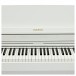Casio AP-550 Digital Piano, White - Keys