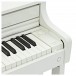 Casio AP-550 Digital Piano, White - Power