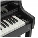 Casio AP-750 Digital Piano, Black - Power