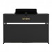 Casio AP-750 Digital Piano, Black - Back