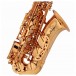 Buffet 400 Series Alto Saxophone, Lacquer