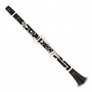Buffet R13 Professional Bb Clarinet