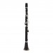 Buffet R13 Professional Bb Clarinet Outfit
