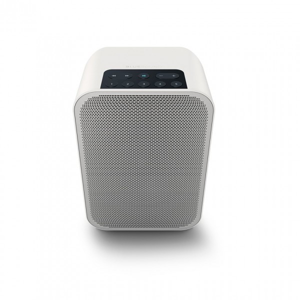 Bluesound PULSE FLEX 2i White Portable Wireless Speaker (Single)