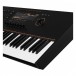 NI Kontrol S61 MK3 MIDI Keyboard - Detail