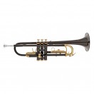 Roy Benson TR101K Trumpet, Black and Gold