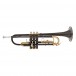 Roy Benson TR101K Bb Trumpet, Black and Gold