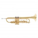 Roy Benson TR101 Trumpet, Lacquer