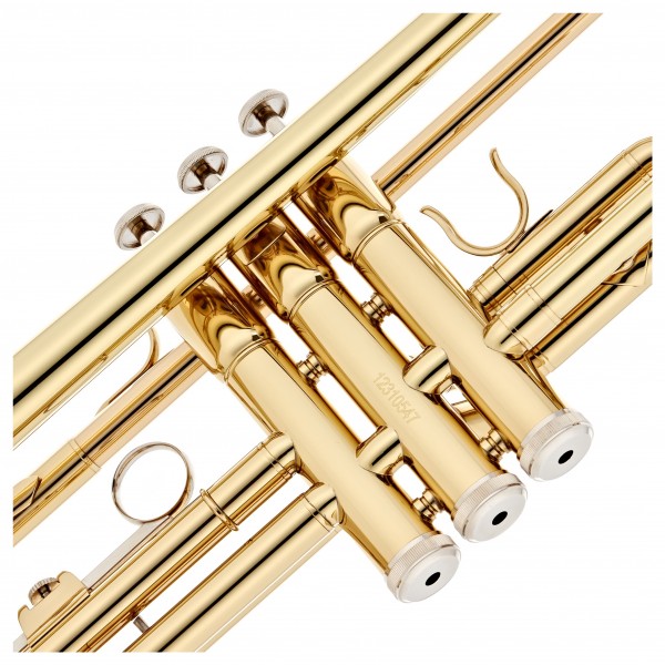 Roy Benson TR101 Bb Trumpet, Lacquer