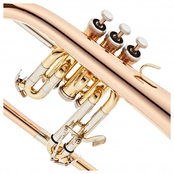 Roy Benson FH302 Flugel Horn, Lacquer