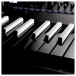 Korg Minilogue XD, Limited Edition Inverted - Lifestyle